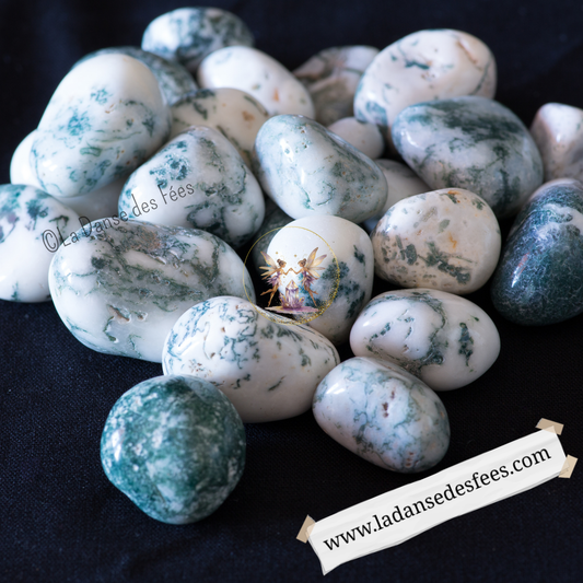 Agate Arbre