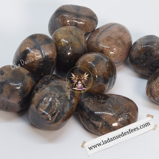 Chiasolite