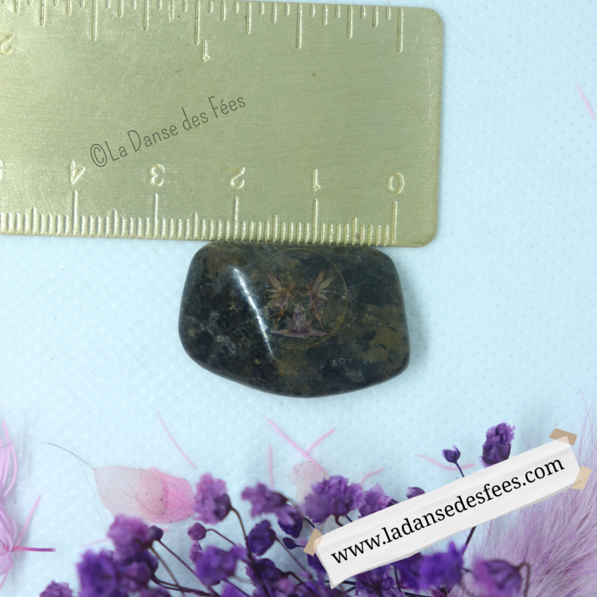 Stromatolite